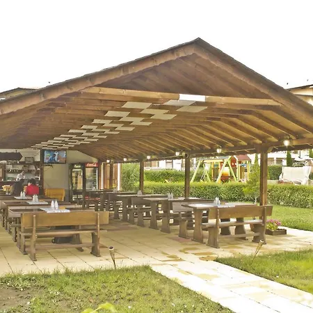 Royal Palm Sweti Wlas