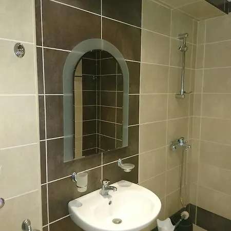 Royal Palm Sweti Wlas