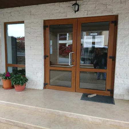 Royal Palm Sweti Wlas