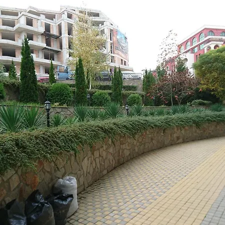 Royal Palm Sweti Wlas