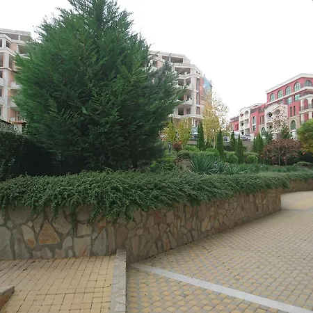 Royal Palm Sweti Wlas