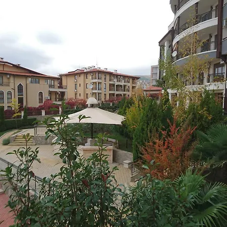 Royal Palm Sweti Wlas