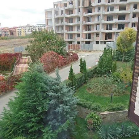 Royal Palm Sweti Wlas